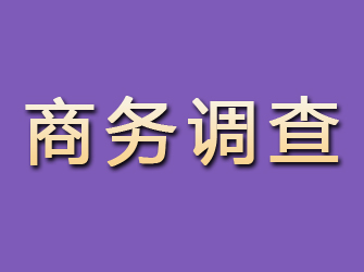 永宁商务调查